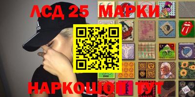 мяу мяу мука Ачхой-Мартан