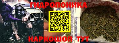 крисы Аша
